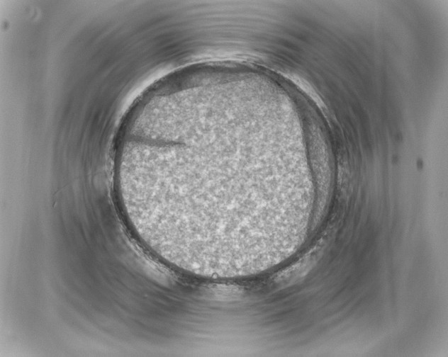 X0000087411119200705111844