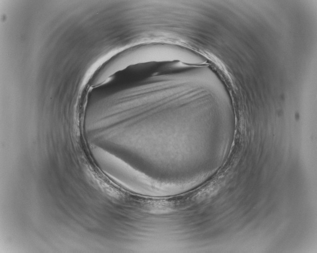 X0000087411120200705111844