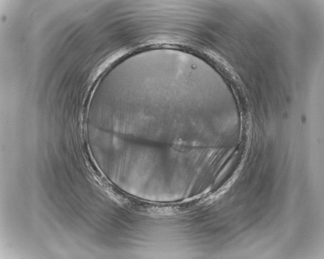 X0000087411121200705111844