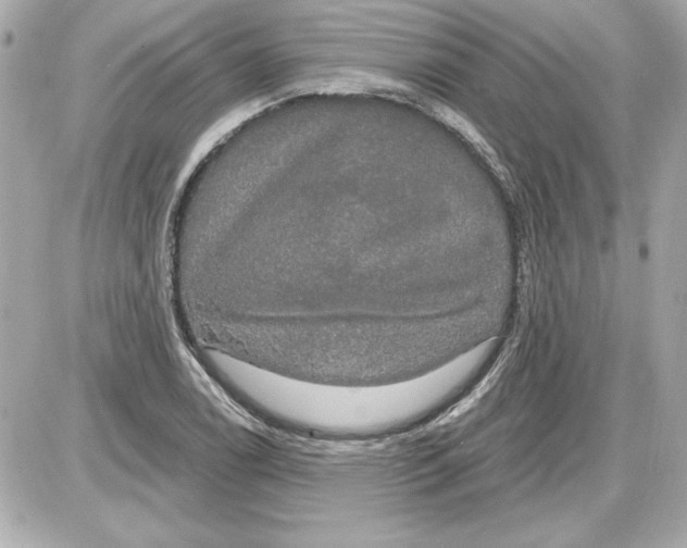 X0000087411122200705111844