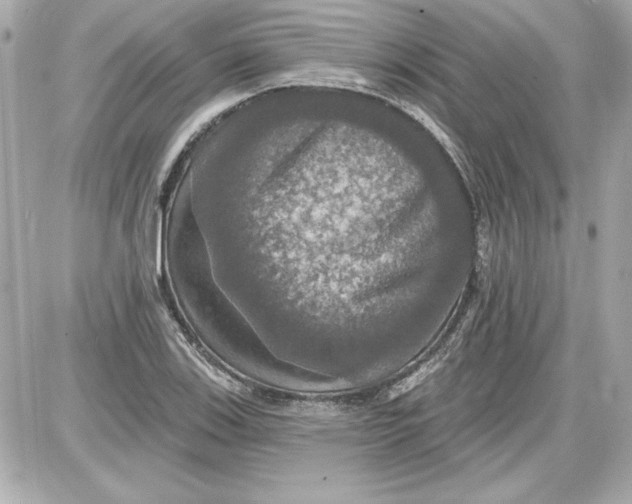 X0000087411123200705111844