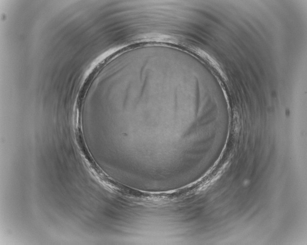 X0000087411125200705111844