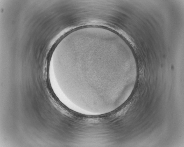 X0000087411126200705111844