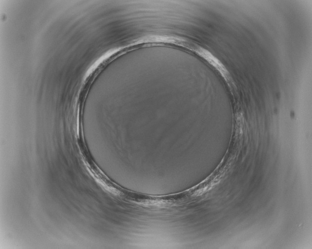 X0000087411127200705111844