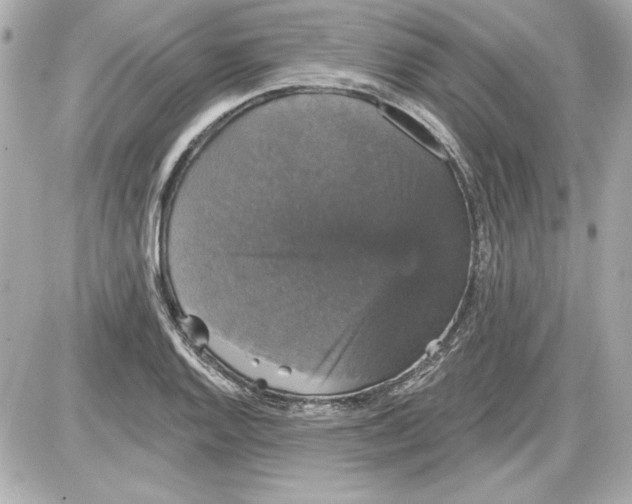 X0000087411128200705111844