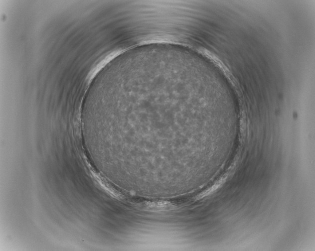 X0000087411129200705111844