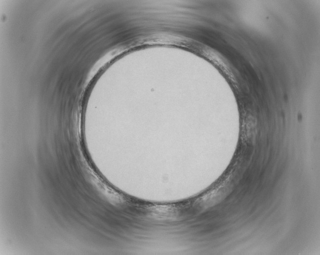 X0000087411130200705111844