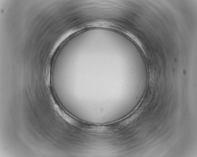 X0000087411131200705111844