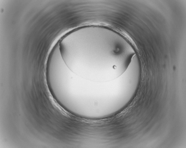 X0000087411132200705111844