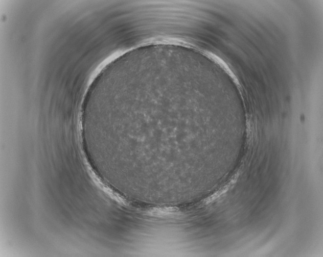 X0000087411133200705111844