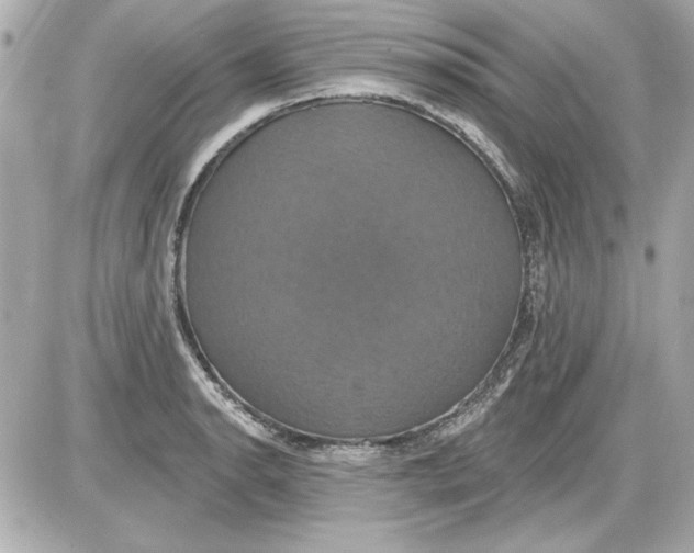 X0000087411134200705111844