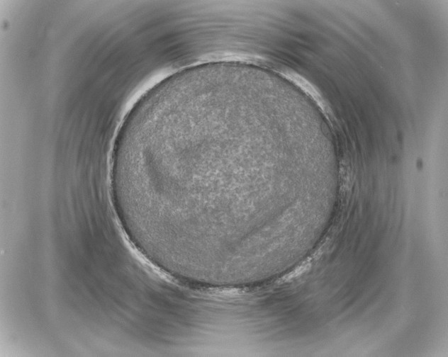 X0000087411135200705111844