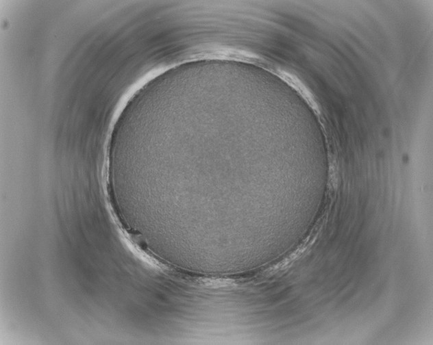 X0000087411136200705111845