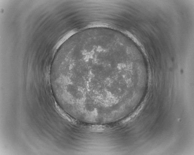 X0000087411137200705111845