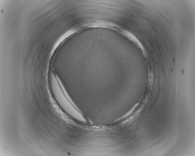 X0000087411138200705111845