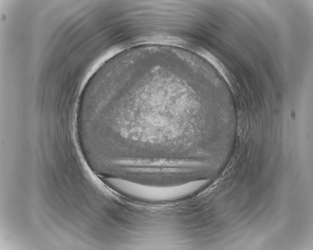 X0000087411139200705111845