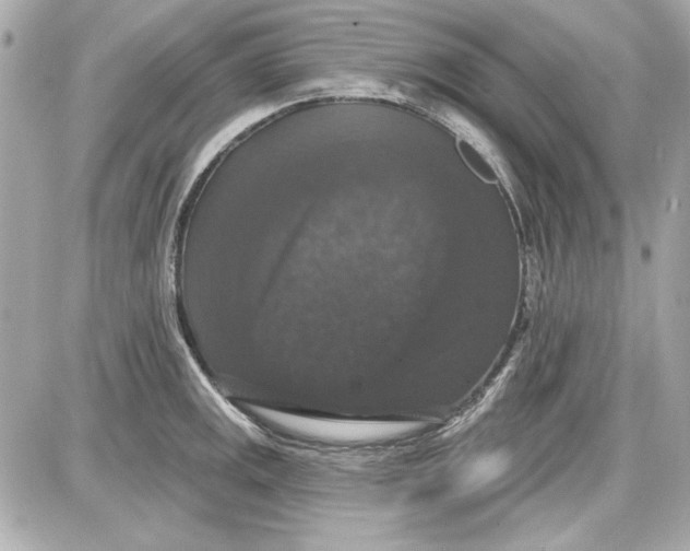 X0000087411141200705111845