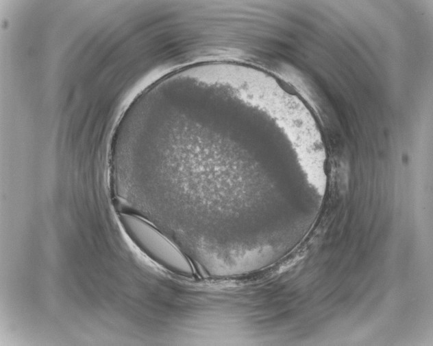 X0000087411143200705111845