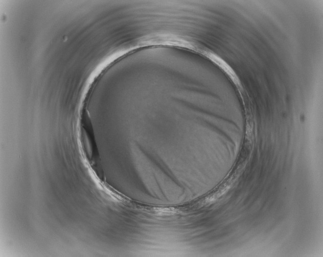 X0000087411144200705111845