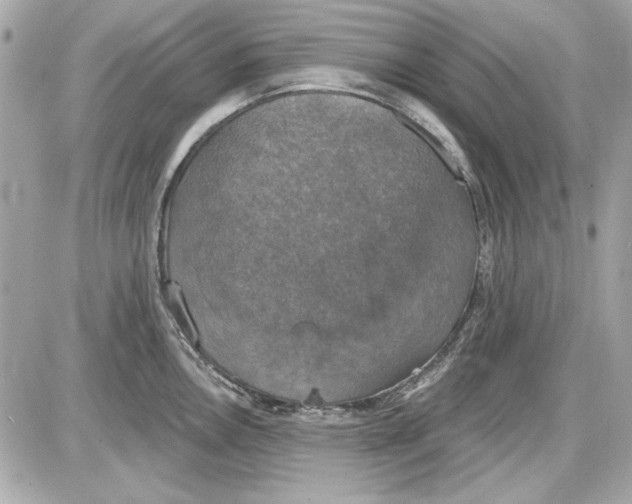 X0000087411146200705111845