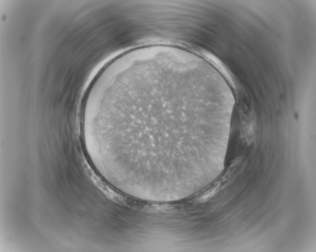 X0000087411148200705111845