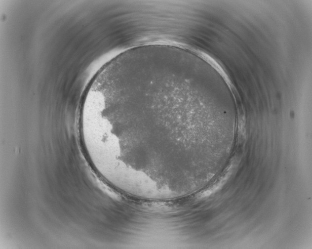 X0000087411149200705111845