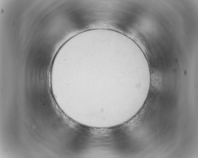 X0000087411150200705111845