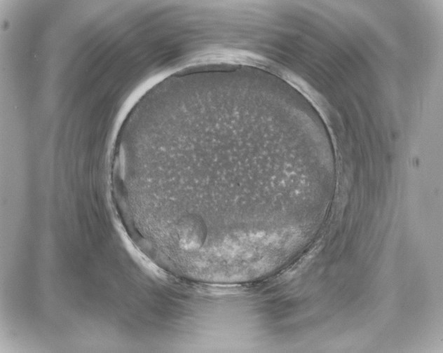 X0000087411152200705111845