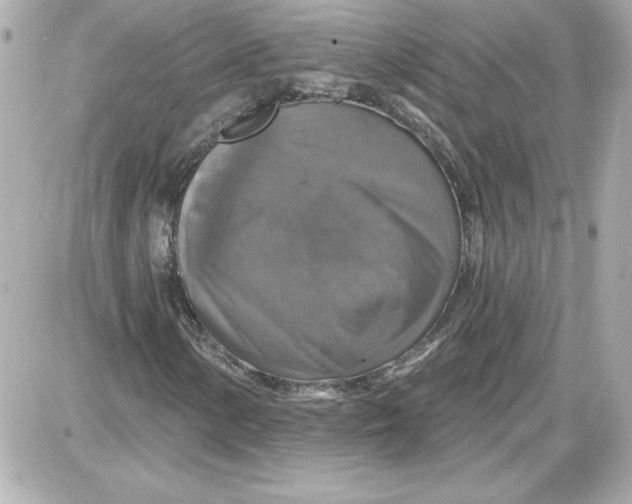 X0000087411154200705111844