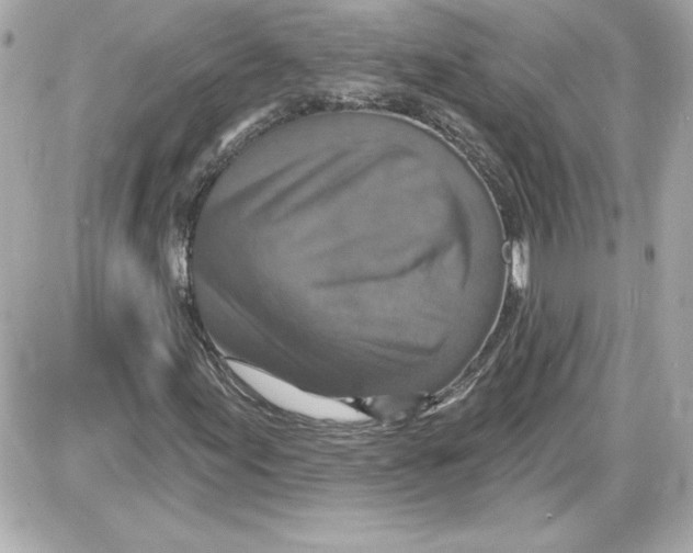 X0000087411155200705111844