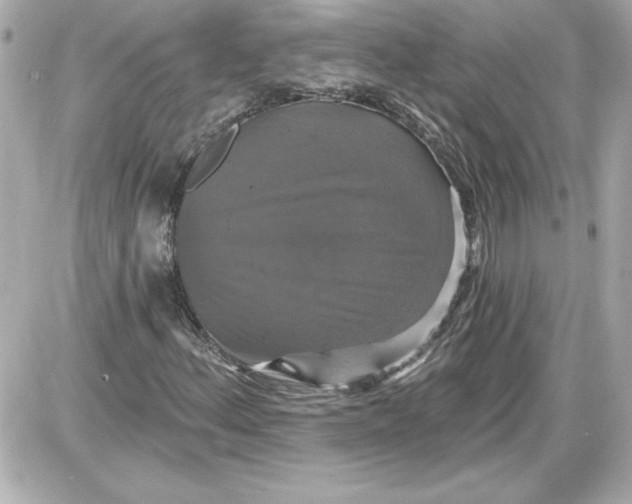 X0000087411156200705111844