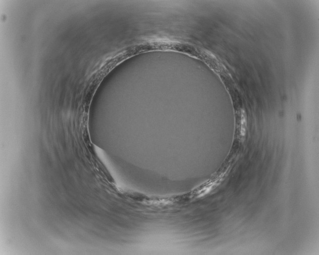 X0000087411157200705111844