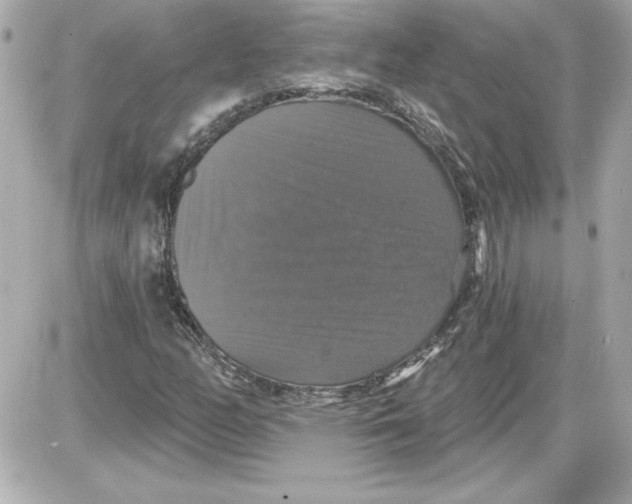 X0000087411158200705111844