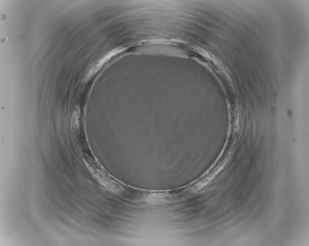 X0000087411161200705111844