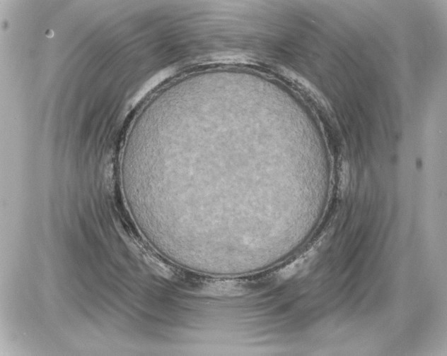 X0000087411162200705111844