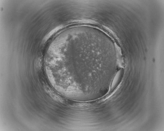 X0000087411163200705111844