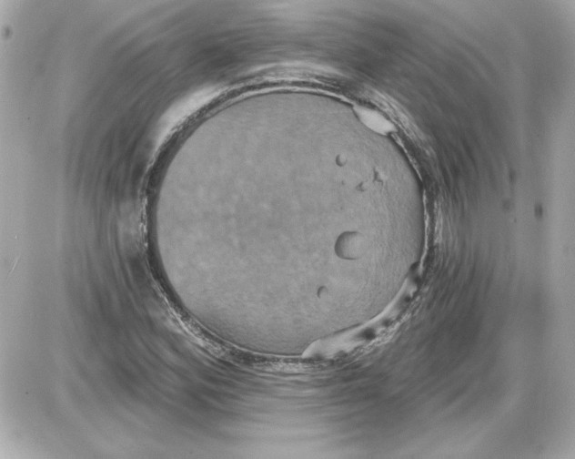 X0000087411164200705111844