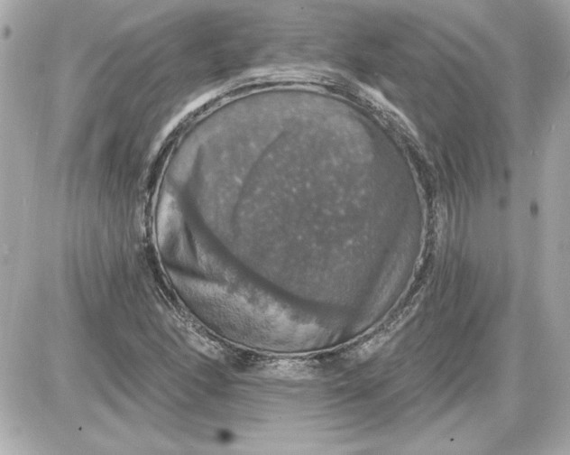 X0000087411166200705111844