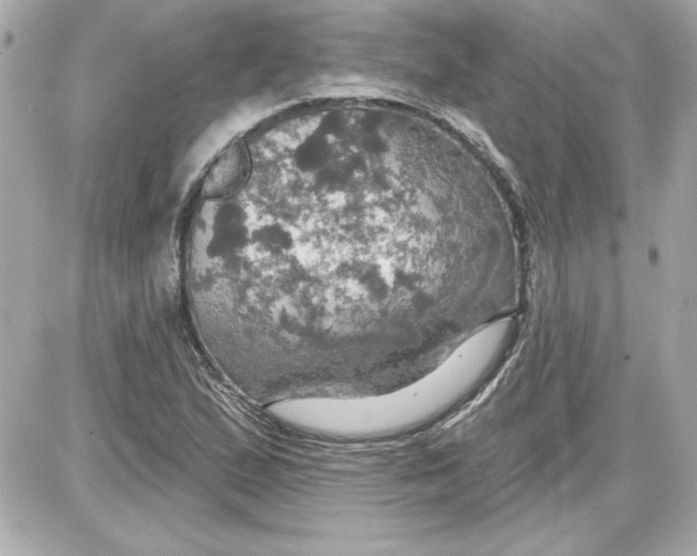 X0000087411167200705111844