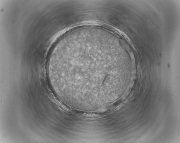 X0000087411168200705111844