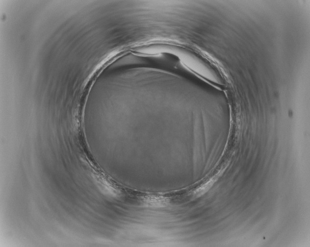 X0000087411170200705111844