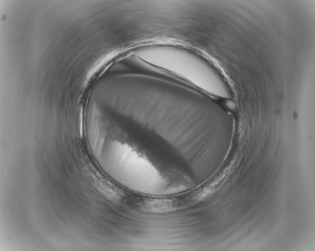 X0000087411171200705111844