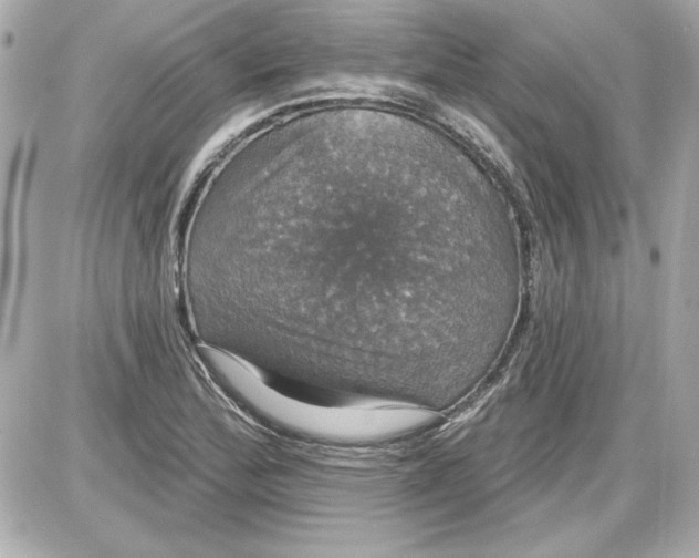 X0000087411172200705111844