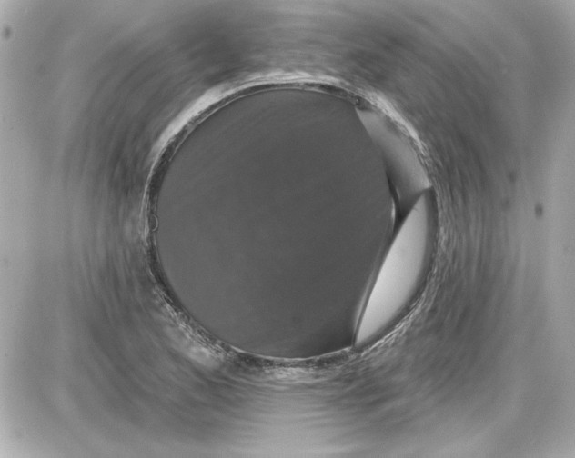 X0000087411173200705111844