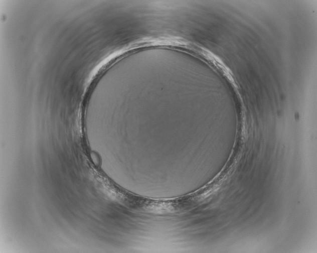 X0000087411174200705111844