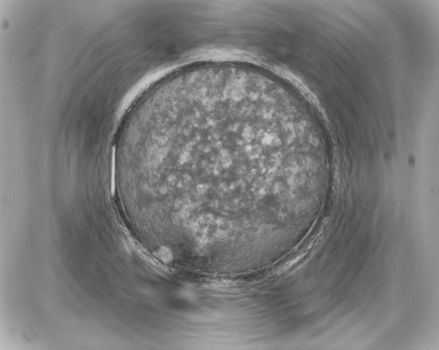 X0000087411175200705111844