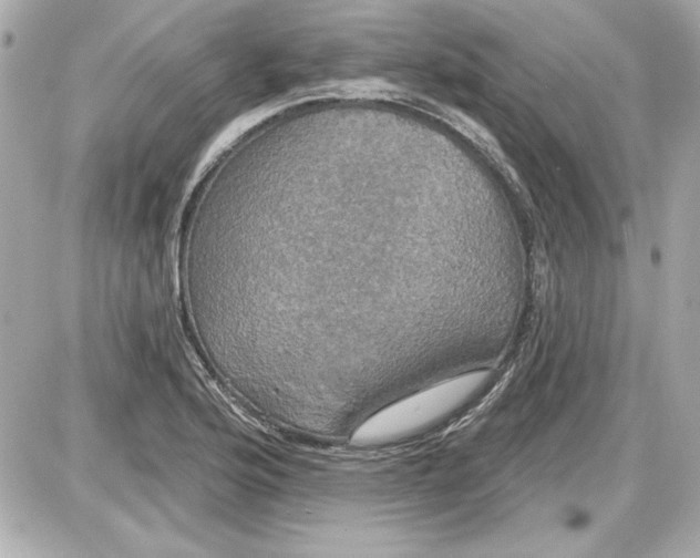 X0000087411176200705111844