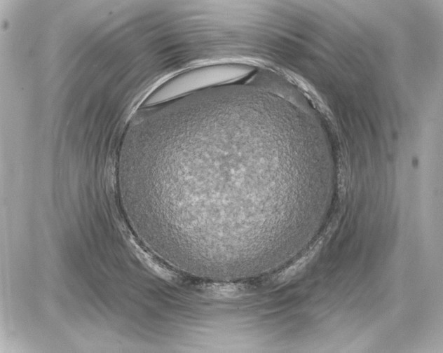 X0000087411177200705111844