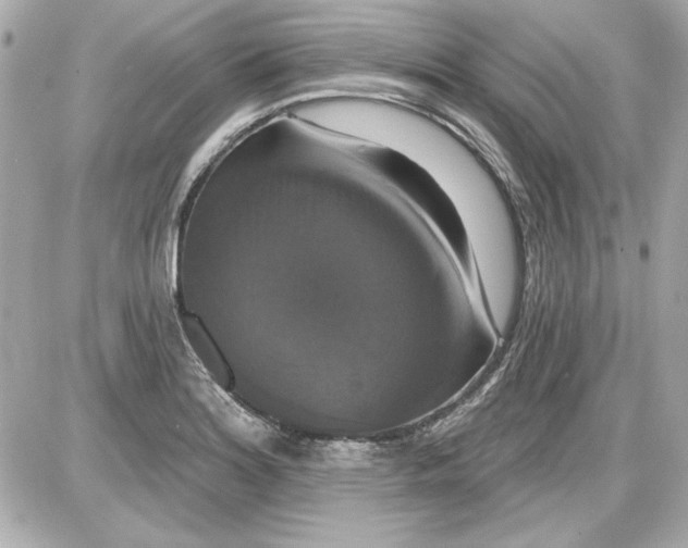 X0000087411180200705111844