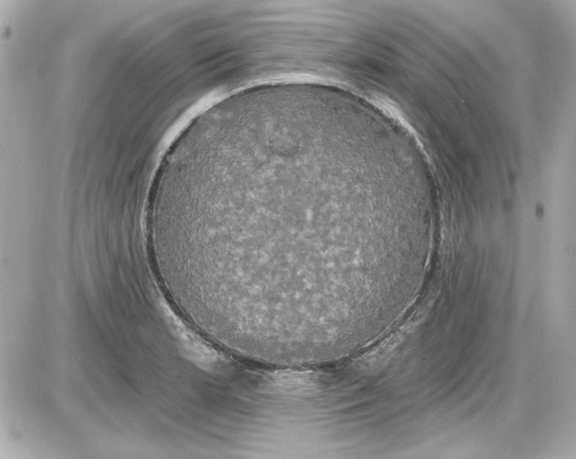 X0000087411181200705111844